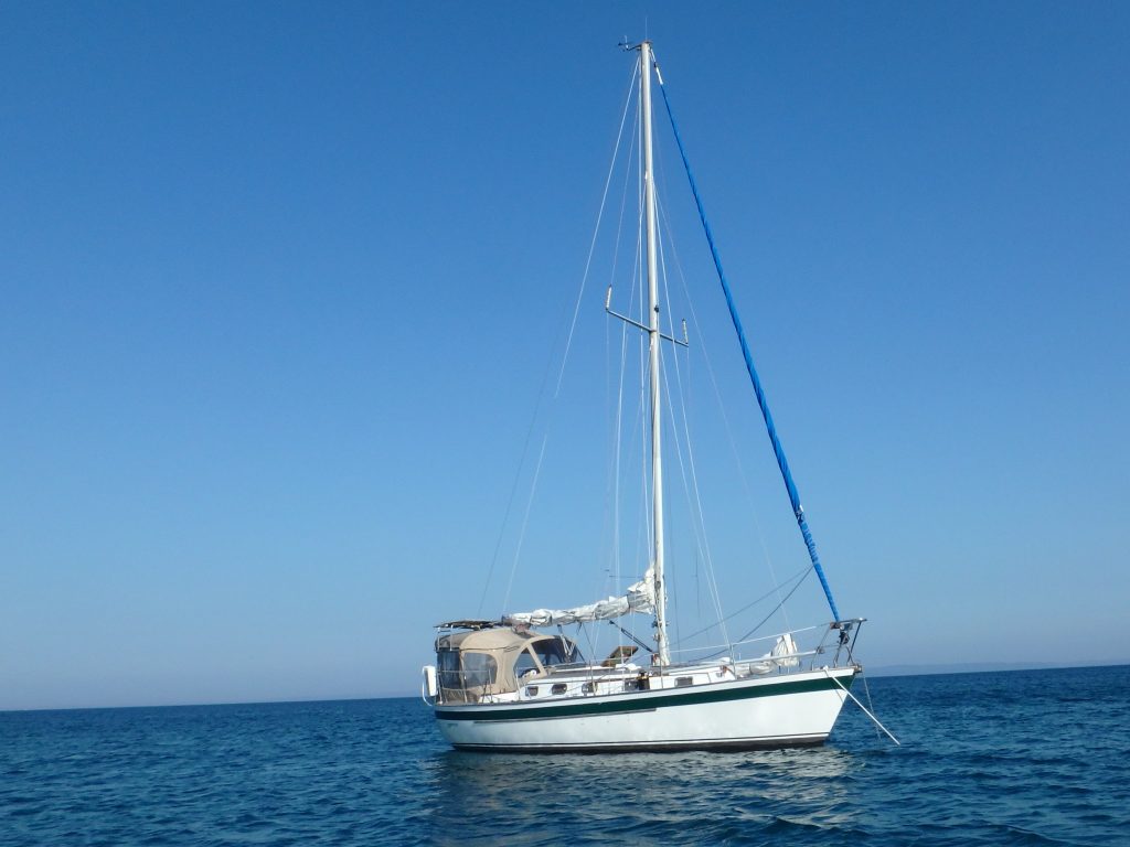 Sparrow at anchor