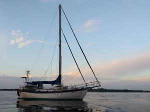 Terrapin at anchor