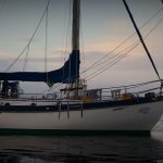 Terrapin at anchor