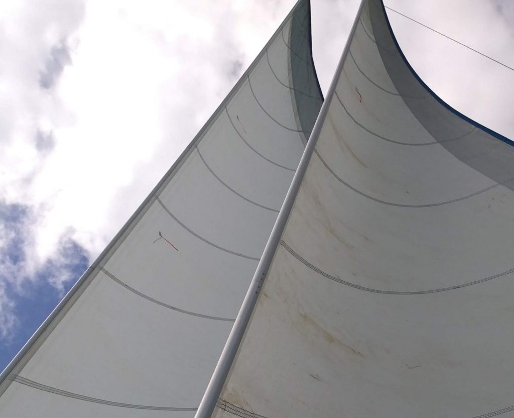looking up the sails