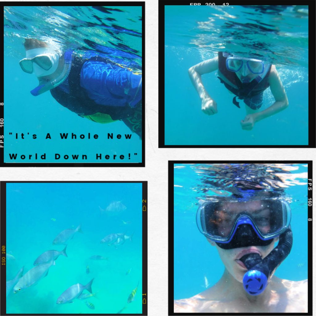 Snorkeling=It's a whole new world under the water