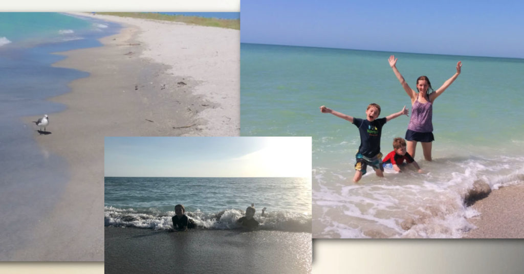 picture of happy mom and boys at beach, bird on cayo costa beach 