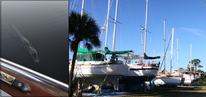 gator at stern of boat and row of boats on hard in boat yard 
