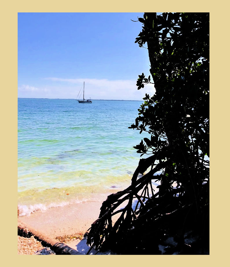 westsail32 sailboat Terrapin at anchor near Boca Grande Pass, FL 