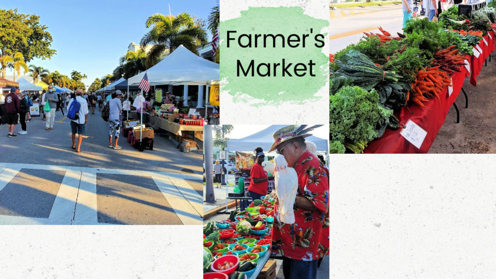 produce at farmers market and view down the street, person with birds on hand and shoulder 