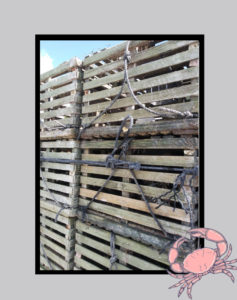crab trap crates on land with graphic of a marine crab
