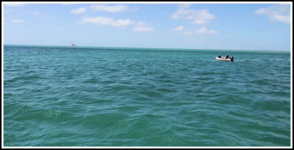 couple in dinghy heading to their catamaran in the distance
