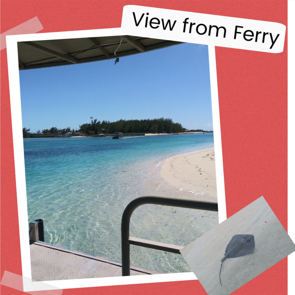 view from the Bimini ferry shuttle, pic of stingray in the clear water