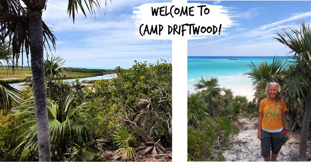 view from Camp Driftwood lookout towards the creek and towards the ocean 