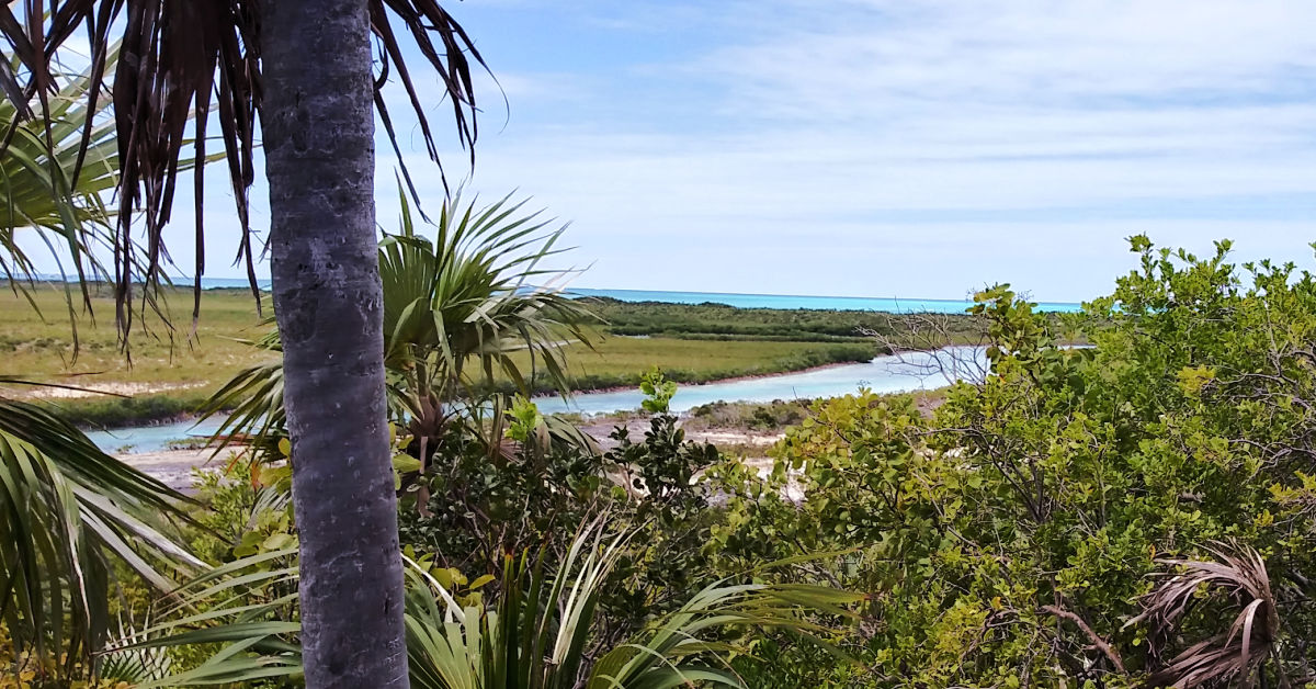 view of Shroud Cay creek