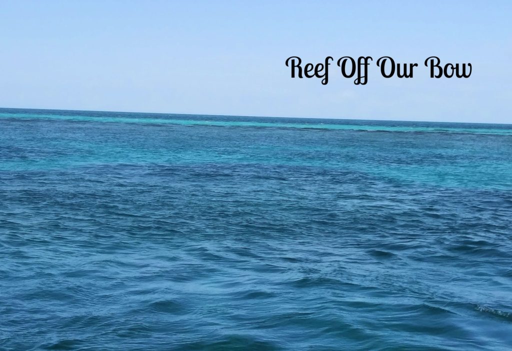 water with waves breaking over a reef 