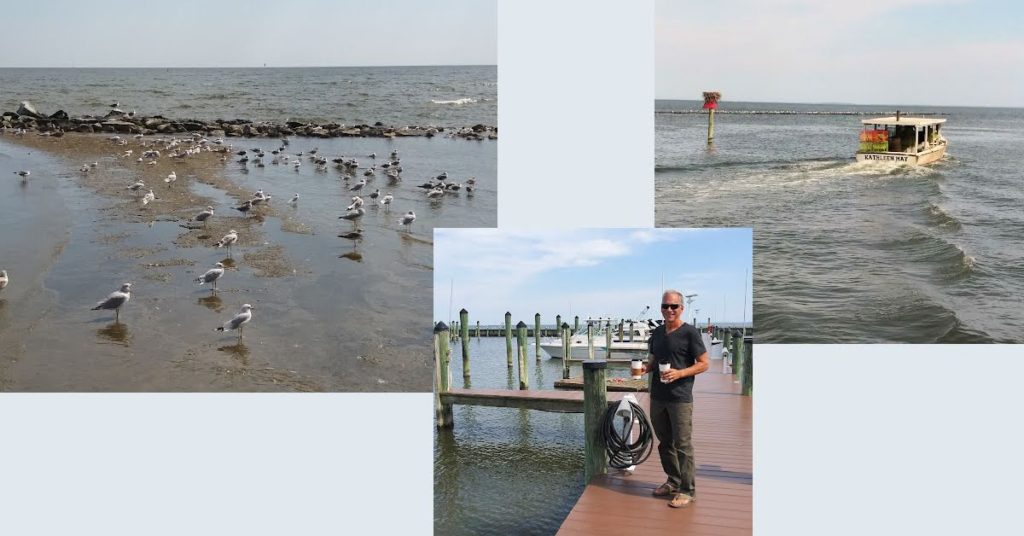 collage of a harbor town, docks with boats, birds on sand bar, fishing boat heading out 
