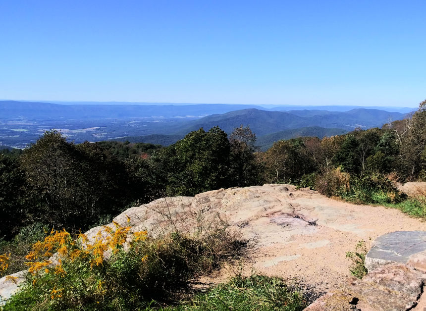 view from an overlook at Skyline Drive in Shenandoah National park 