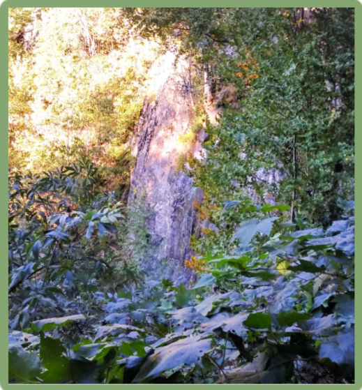 hiking on a road trip included a trail to the Lewis waterfall in the forest  