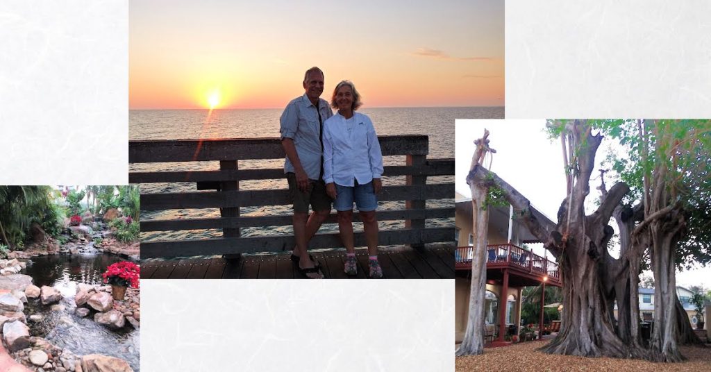 collage of pics from stay at The Banyan Tree bed and breakfast.  Banyan trees, backyard pond, couple at pier during sunset 