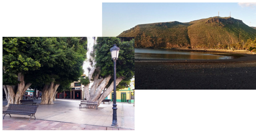 trees in town square and black sand beach san sebestian, la gomera 
