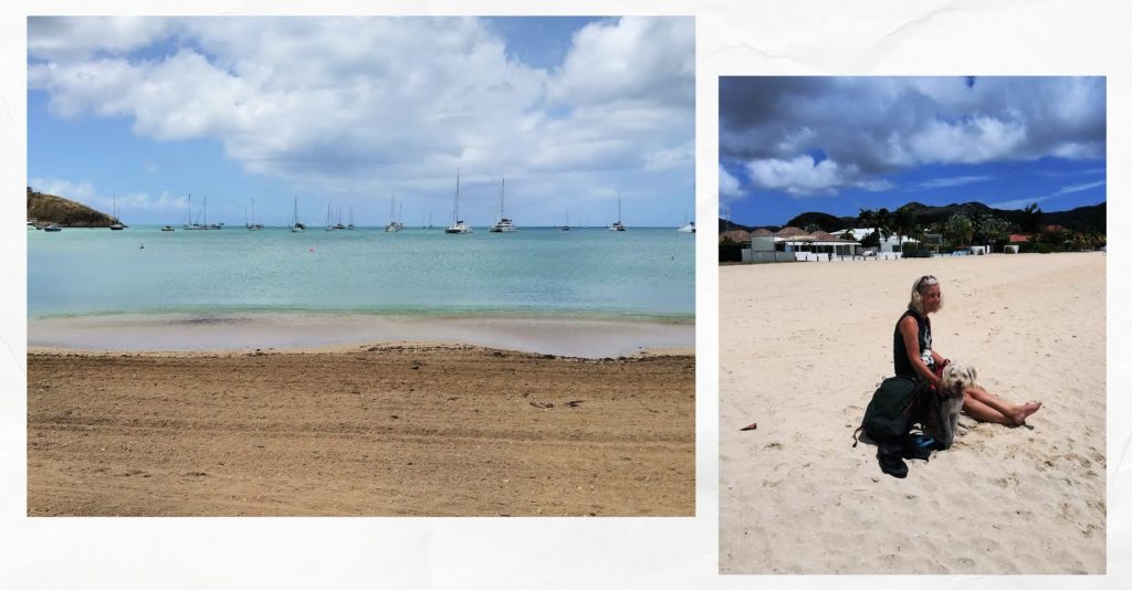 woman and dog relaxing on the beach, beach with sailboats anchored in the distance 