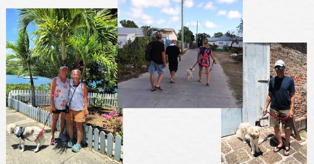 collage of sailboat crew walking the dog on island roads with water in background or old buildings 
