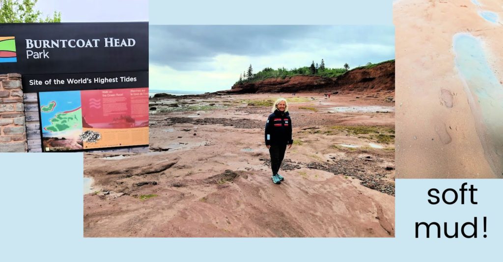 Julie on ocean floor, Bay of Fundy, sign of Burntcoat head park, footprints in the mud 