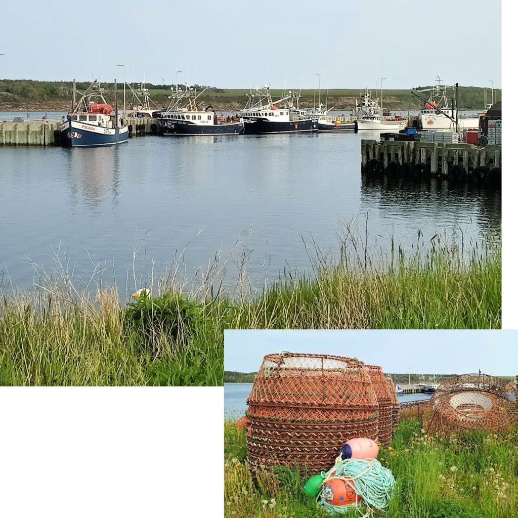 a small town dock with lobster boats and nets on lawn on cape breton