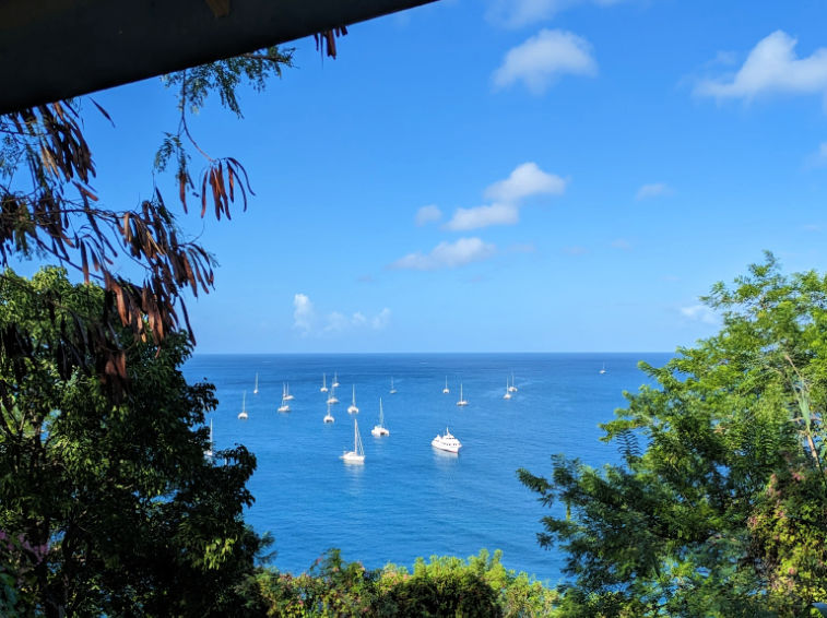 overlook of an anchorage of boats in St George, Grenada as seen from the top of a hill 