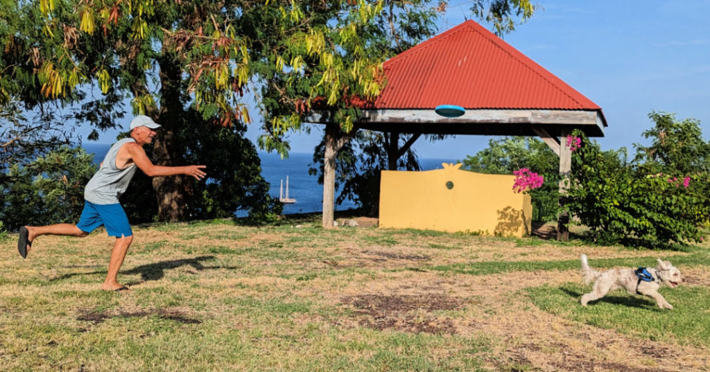 man throwing frisbee and dog running to catch it, overlook of ocean 