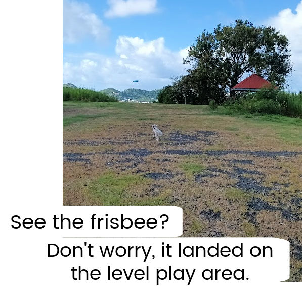 flat area on top of a hill in Grenada with dog running to catch a frisbee in the distance 