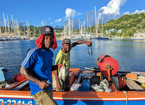 local fisherman selling jacks fish with marina in background 