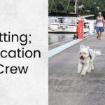 dog running down dock with man and boats in background