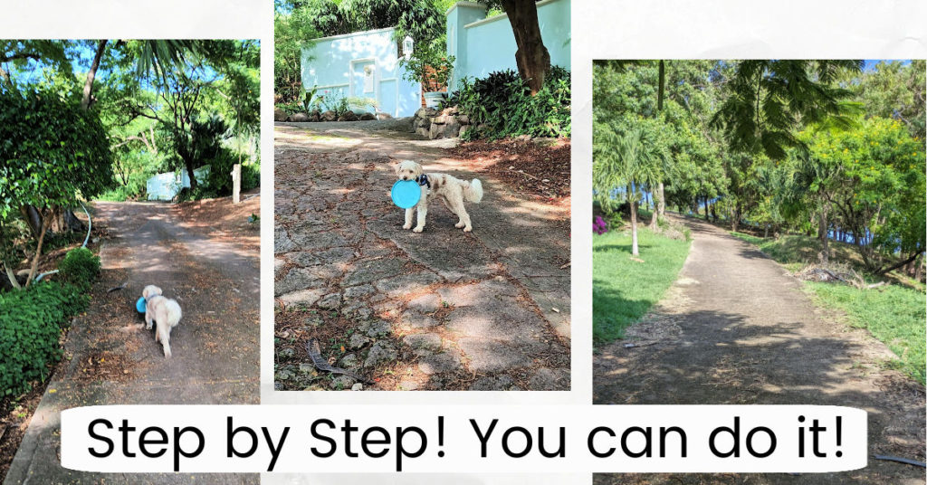 collage of a hill in Grenada with dog walking and waiting with his frisbee