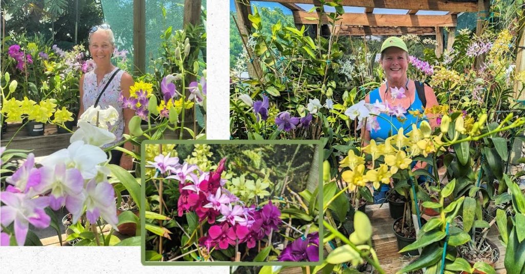 Kitra and I amongst Orchids at the Orchid show 