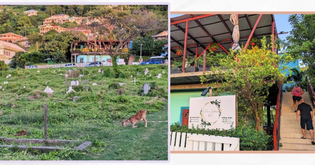 cemetary with goats grazing, rooftop restaurant, couple walking up stairs to restaurant 