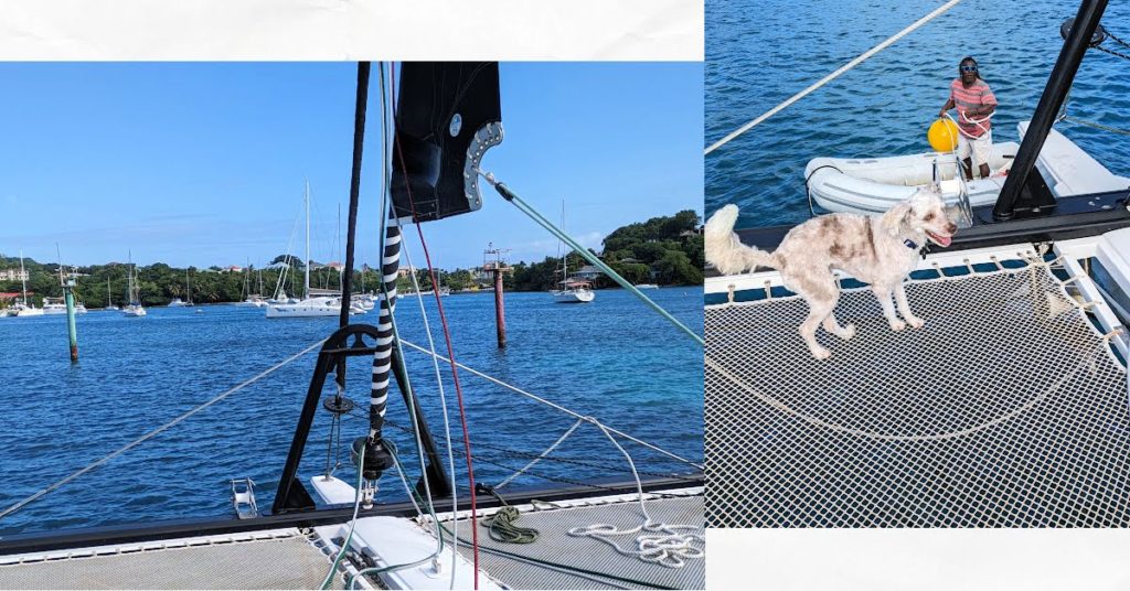 catamaran bow going through markers to an anchorage, dog on boat tramp with man in dinghy helping with mooring ball 