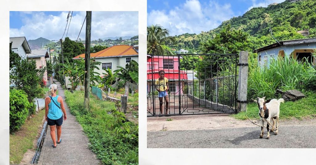 woman walking on neighborhood sidewalk, boy looking out of his fenced yard, goat in road near homes, hills in background 