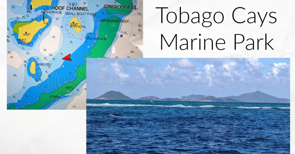 screen shot of chart plotter showing where boat is anchored in Tobago Cays, wave breaking on reef in the water with hills in the background