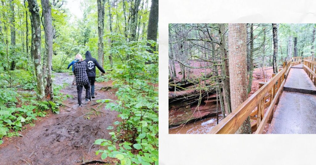 hiking trail, muddy trail with people walking in mud, boardwalk in the woods 