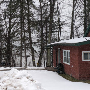 snow falling, snow on ground, tall pine tress near a cabin overlooking lake