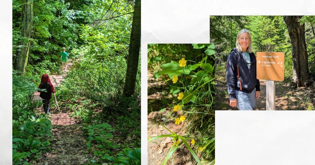 woman by a trail sign, yellow flowers on a hiking trail, boys walking with walking sticks on a trail in the woods 