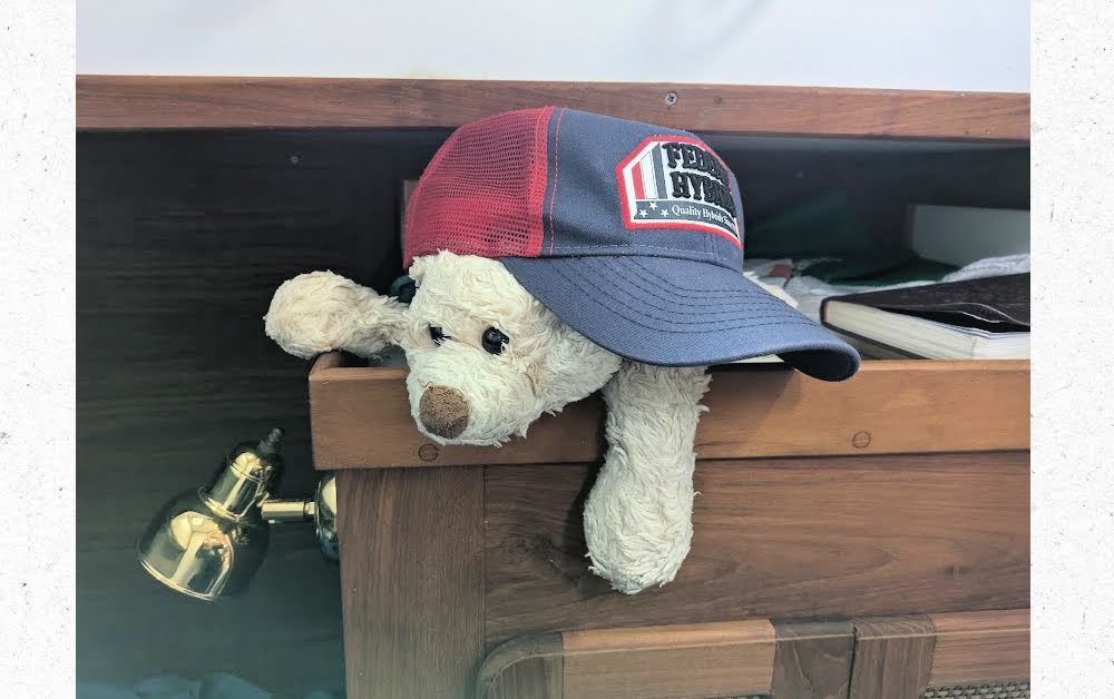 boat bear on top of cabinet with baseball cap on