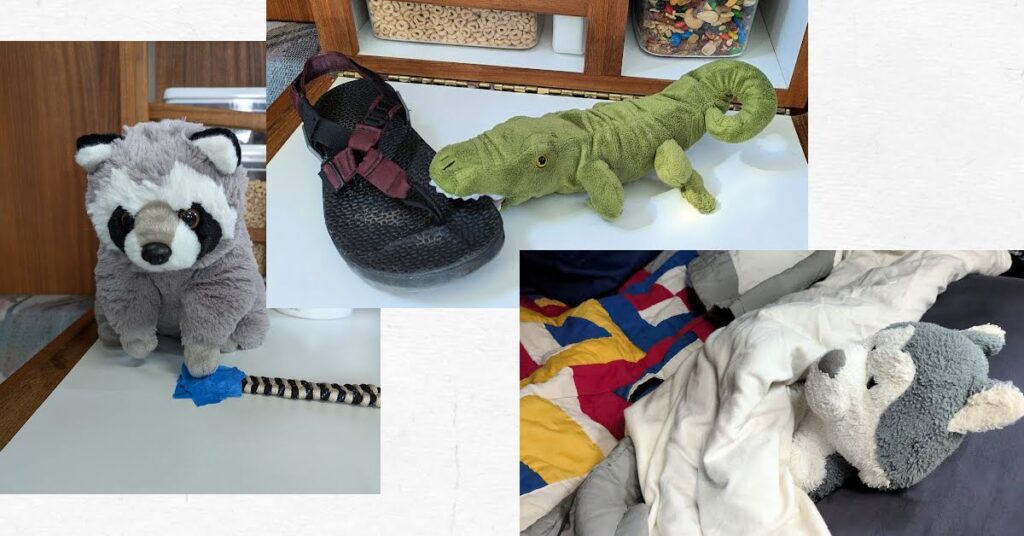 collage of stuffed animals, animal in vberth bed with covers on, animal holding a paracord bracelet, animal chopming on a sandal.