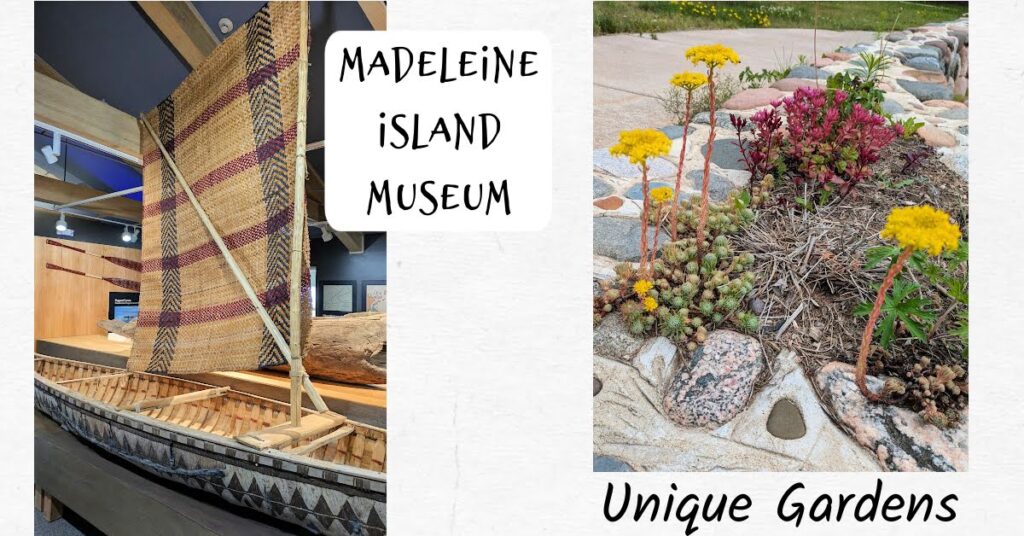 sailboat on display in museum with fabric woven sail, unique flower in a garden on madelien island 