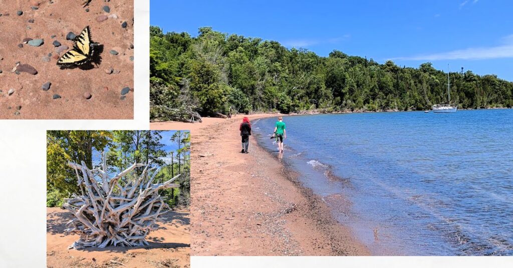 boys walking on beach with sailboat in background, uprooted tree roots, moth on the beach with pebbles in the sand 