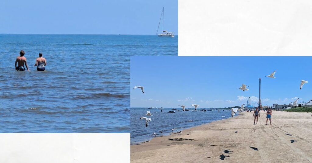 couple in water with sailboat at anchor in distance, mom and young adult walking down beach with birds flying 