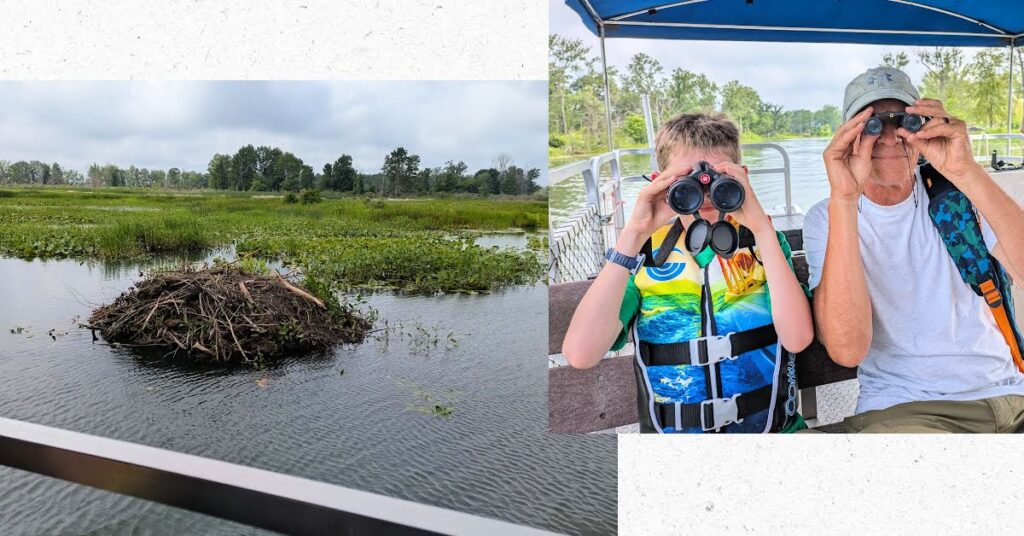 nest in water in estuary, grandson and grandpa using binoculars while on a pontoon ride 
