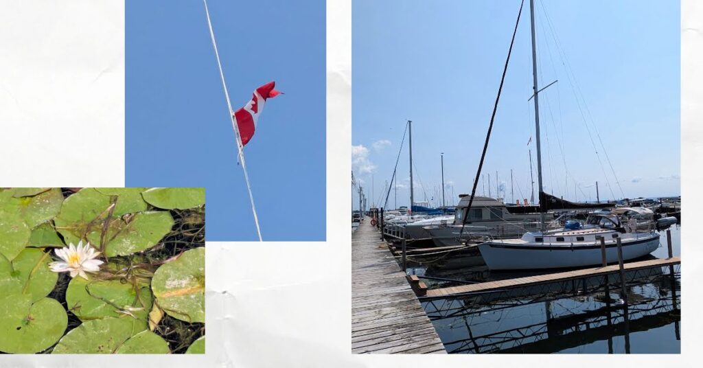sailboat at dock, canadian courtesy flag flying on sailboat halyard, flower in patch of lilly pads

