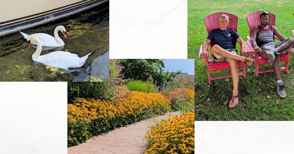 father and son sitting in red chairs on lawn, swans near boat, flowers in garden
