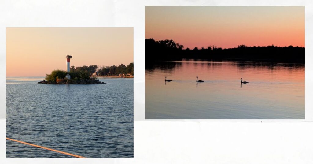 sunset over water with swans swimming, lighthouse on small island with birds next on top 